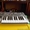 Novation X-Station25(midi-keyboard+synthesizer+audio interface)3500грн #1047921