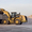 Услуги фронтального погрузчика Caterpillar #1291829