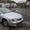  Nissan Primera P11 дверь двері крило Primera 144 крила крилья P11 #1385718